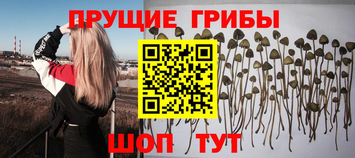 Галлюциногенные грибы ЛСД Сертолово